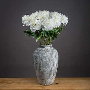 Timeless Floral Classic Peony - White